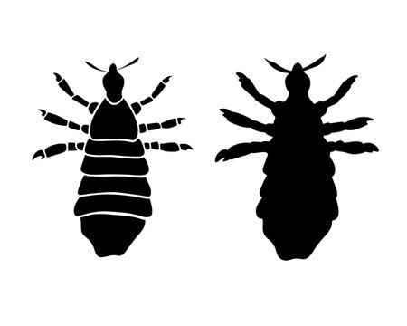 Vector isolated illustration of louse silhouette on white background.のイラスト素材