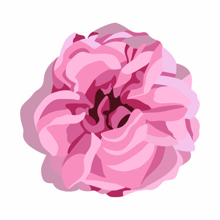 Vector isolated illustration of a pink flower on a white background.のイラスト素材