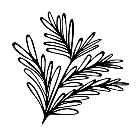 Bush plant illustration showing intricate leaf patterns and natural eleganceのイラスト素材