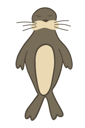 Vector isolated illustration of a cartoon fur seal on a white background.のイラスト素材