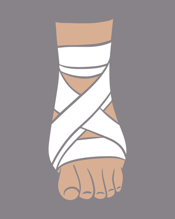 Vector isolated illustration of bandaging a leg. First aid for foot injuries.のイラスト素材