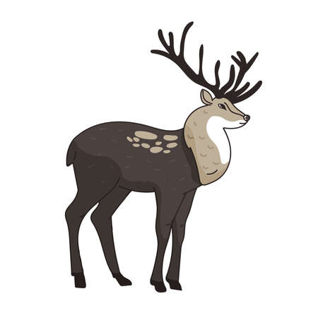 hand drawn image of buck with large antlers cute deer. vector illustration animal isolated on white background for hunting products billboards website, wildlife cartoon hand drawingのイラスト素材