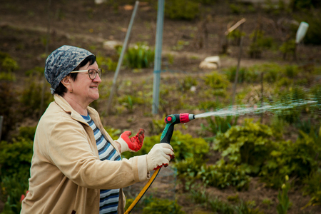 gardening and people concept - happy senior woman watering lawn by garden hose at summerの写真素材