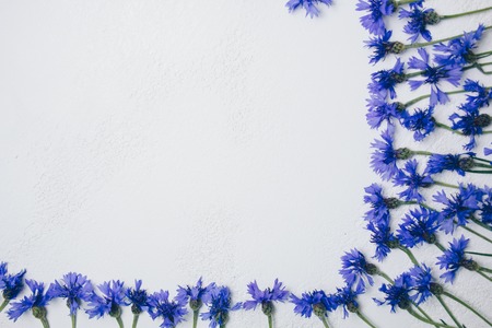 blue cornflowers bouquet, summer flowers on white background, floral background, beautiful small cornflowers close up flatlayの写真素材