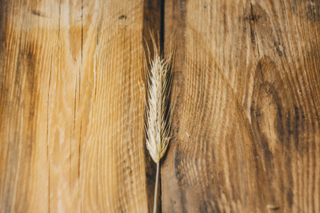 Wheat or rye spikelets on wooden backgroundの写真素材