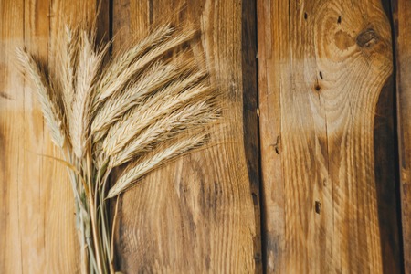 Wheat or rye spikelets on wooden backgroundの写真素材
