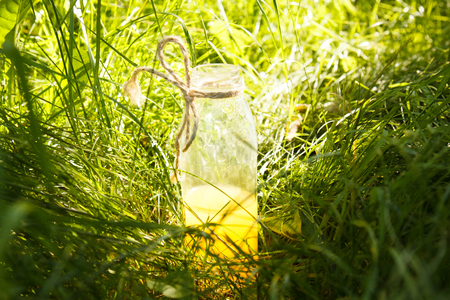 a bottle of homemade lemonade juice lies on the grass outdoors. Picnic on nature in the park against the backdrop of trees with bright sunshine. healthy food, diet.の写真素材