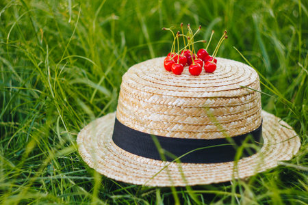 few ripe fruits of sweet cherry with twig on straw hat lying on the grass outdoors. Picnic on nature...