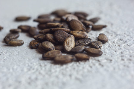 A heap of dried black watermelon seeds close-up on a white table background. planting season. close...