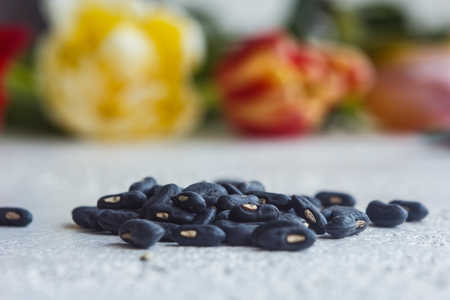 A heap of dried black haricot seeds close-up on a white table background. bean sowing season. close up top view copy space.の写真素材