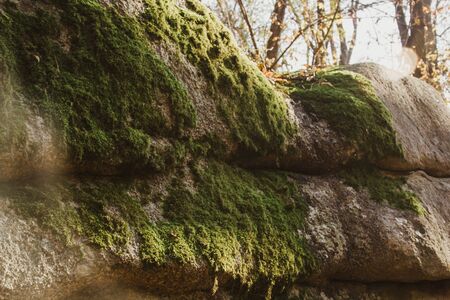 A rock covered with moss, which is illuminated by the sun's rays. Against the background of autumn foliageの写真素材