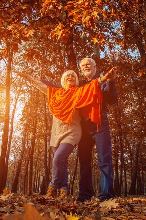 Close up portrait of a happy old woman and man in a park in autumn foliageの写真素材