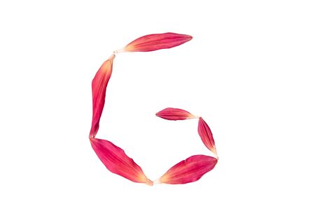 Alphabet from flower petals of a pink color on a white background. Isolated top view, letter gの写真素材