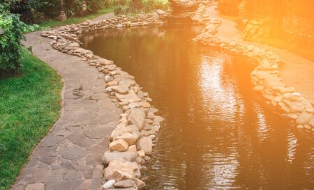 beautiful wavy pond with fish and turtles in the middle of the parkの写真素材