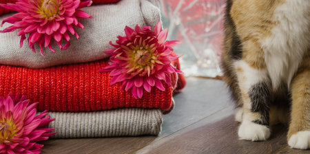 Pattern of colorful knitted sweaters closeup. Handmade merino wool product. A stack of folded...