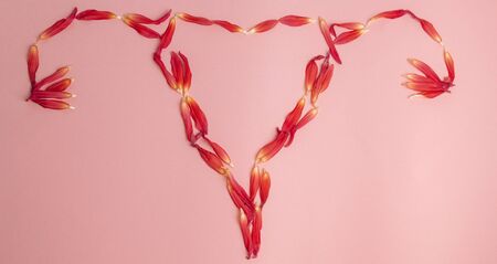 pink flower on a pink background. female health concept. A reference to tenderness, care and kindnessの写真素材