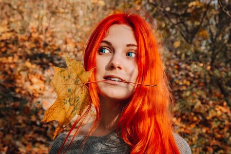 Sexy beautiful redhead girl with long, strong and thick hair. Perfect woman portrait on a background of autumn foliage. Gorgeous deep blue eyes. Natural beauty, clean skin, face and hair careの写真素材