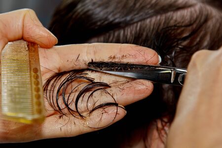 Closeup of a hairdresser cuts the wet brown hair of a client in a salon. Hairdresser cuts a woman. Side view of a hand cutting hair with scissorsの写真素材