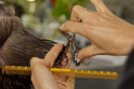 Closeup of a hairdresser cuts the wet brown hair of a client in a salon. Hairdresser cuts a woman....