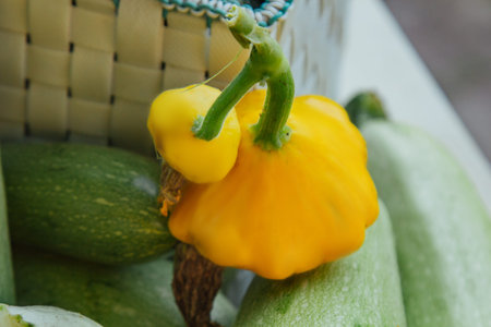 Fresh organic vegetables and fruits in a basket on a table in the garden. Healthy eating Eggplant,...