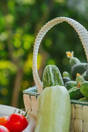 Fresh organic vegetables and fruits in a basket on a table in the garden. Healthy eating Eggplant, squash, cucumbers, tomatoes, zucchini. Vegetables on the saladの写真素材