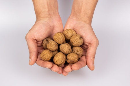 Two male hands hold walnuts on a gray background. harvest concept. top view close-up