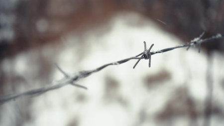 Barbed wire under the snow close-up. Danger concept. Detail of a prison in snowy weatherの写真素材