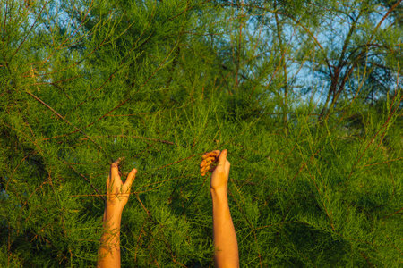 A teenager is caring for a young tree by gardening to save the world concept, nature, environment and ecology. Education and school children plant young fruit trees outdoorsの写真素材