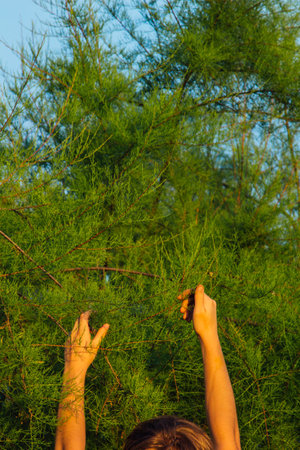 A teenager is caring for a young tree by gardening to save the world concept, nature, environment and ecology. Education and school children plant young fruit trees outdoorsの写真素材