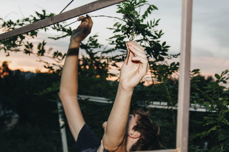 A teenager is caring for a young tree by gardening to save the world concept, nature, environment...