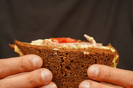 Tasty sandwich. Hands holding sandwich with ham, bacon, cheese, lettuce, tomatoes. Close-up of man...