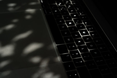 Modern laptop. Computer for daily routine. Typing on keyboard.の写真素材