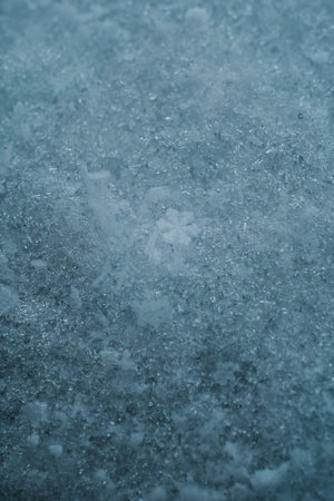 Macro picture of snow with crystals in good view. Natural snowflakes on snow. Photo of real...