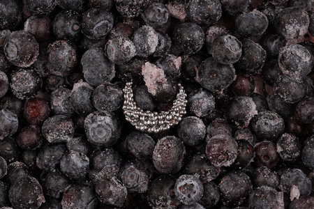 Silver ring close-up. Jewelry on the background of frozen blueberries. Summer berries as a...