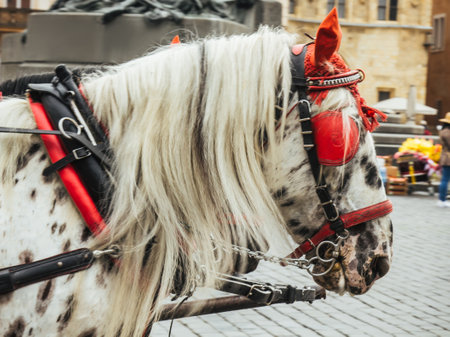 Prague, Czech Republic - May 11, 2019: Touristic places in Prague. A horse-drawn carriage with white horse in black spots waits on a cobblestone street.の写真素材
