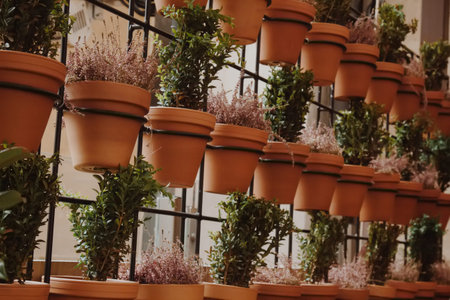 Prague, Czech Republic - May 11, 2019: A store shelf with many potted plants, including some that are green. The plants are arranged in rows and are of various sizes.の写真素材