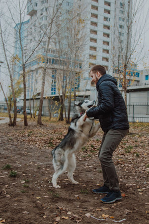Animal-human interaction as a concept of psychology. A man holds a large dog in his arms. Dog training by teams. A man touches a dog.の写真素材
