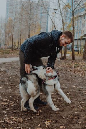 Animal-human interaction as a concept of psychology. A man holds a large dog in his arms. Dog training by teams. A man touches a husky.の写真素材