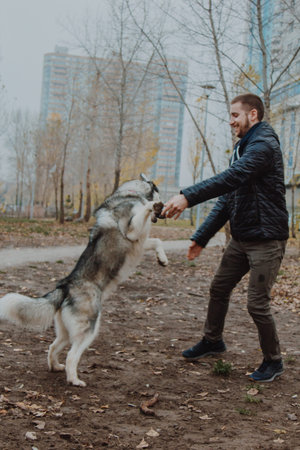 A husky dog jumps on a young man. A boy plays with a dog in the park. Autumn infusion. Warmly...