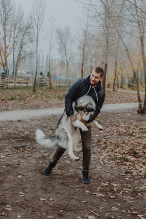 Animal-human interaction as a concept of psychology. A man holds a large dog in his arms. Dog training by teams. A man touches a husky.の写真素材