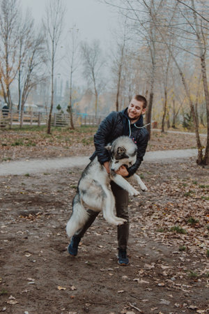 Animal-human interaction as a concept of psychology. A man holds a large dog in his arms. Dog training by teams. A man touches a husky.の写真素材