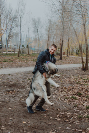 A husky dog jumps on a young man. A boy plays with a dog in the park. Autumn infusion. Warmly dressed man with a fluffy dog.の写真素材