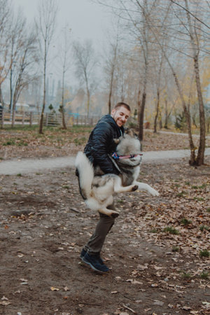 A husky dog jumps on a young man. A boy plays with a dog in the park. Autumn infusion. Warmly dressed man with a fluffy dog.の写真素材