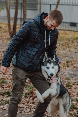 A husky dog jumps on a young man. A boy plays with a dog in the park. Autumn infusion. Warmly dressed man with a fluffy dog. The process of integration of the individual into the social system.の写真素材