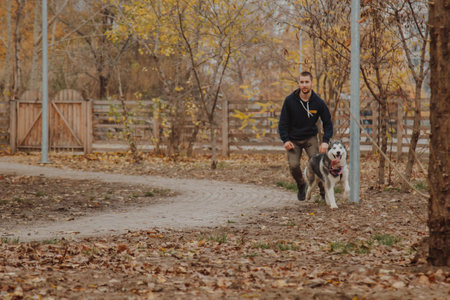 A boy runs with a dog along a path in the park. A husky and a man in motion on an alley in a park.の写真素材