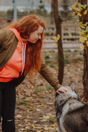 A young girl with long red hair plays with a husky dog. The process of integration of the individual into the social system. A woman walks her dog in the park.の写真素材