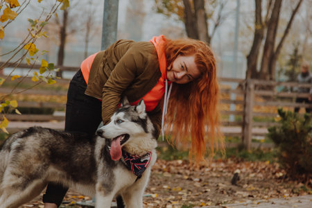 Cannisterotherapy with the help of communication with a dog. A husky is playing with a girl in the park.の写真素材