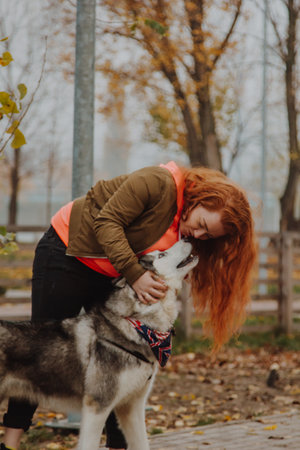 A husky is playing with a girl in the park.の写真素材