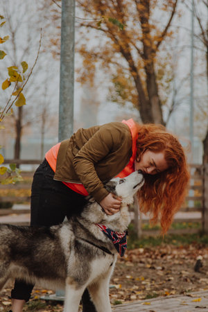 A husky is playing with a girl in the park.の写真素材