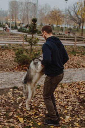 a guy with a dog in an autumn park. Husky stands on its hind legs. A man holds a dog by its front legs.の写真素材